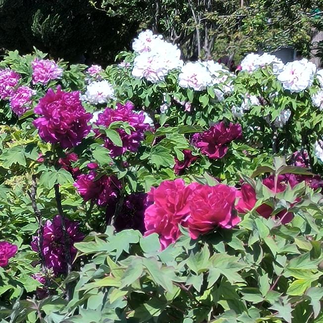 微笑面对每一天