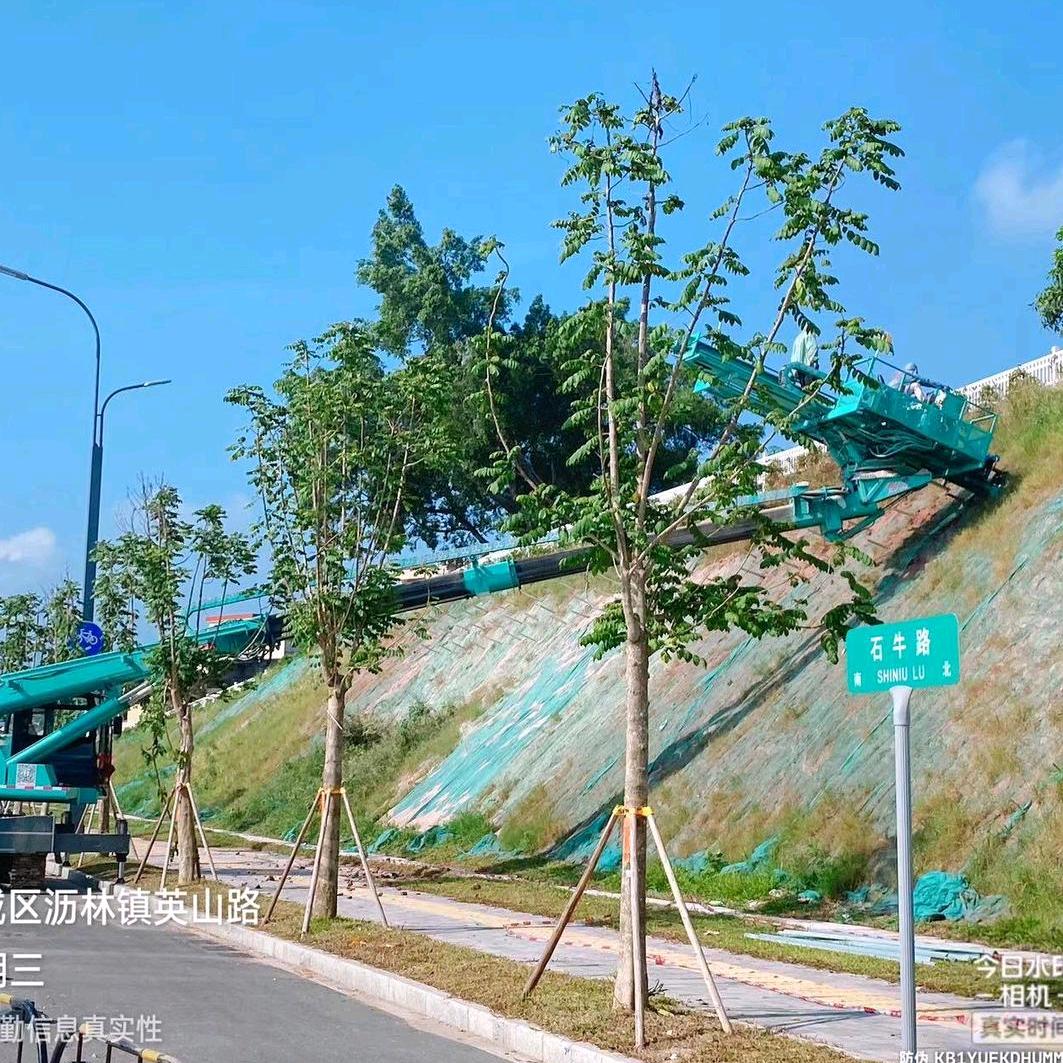 惠州市川惠建筑劳务有限公司