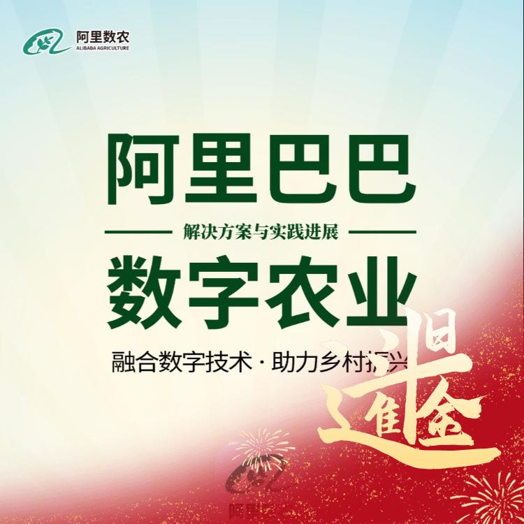数农国际&数字农业