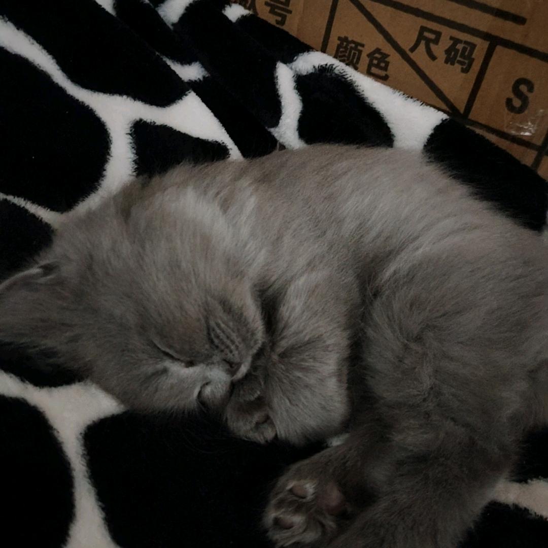 。。，，