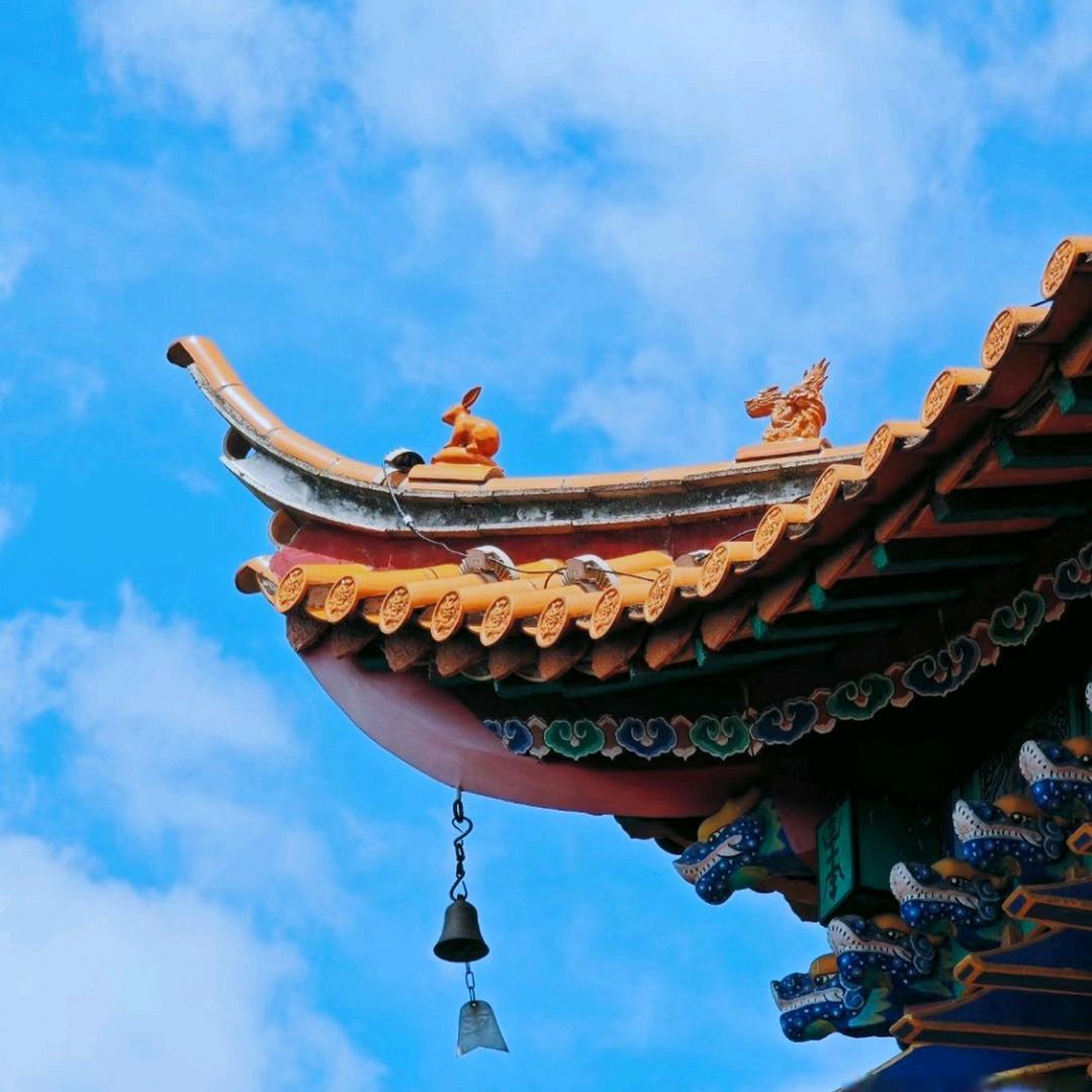 宏泽师兄