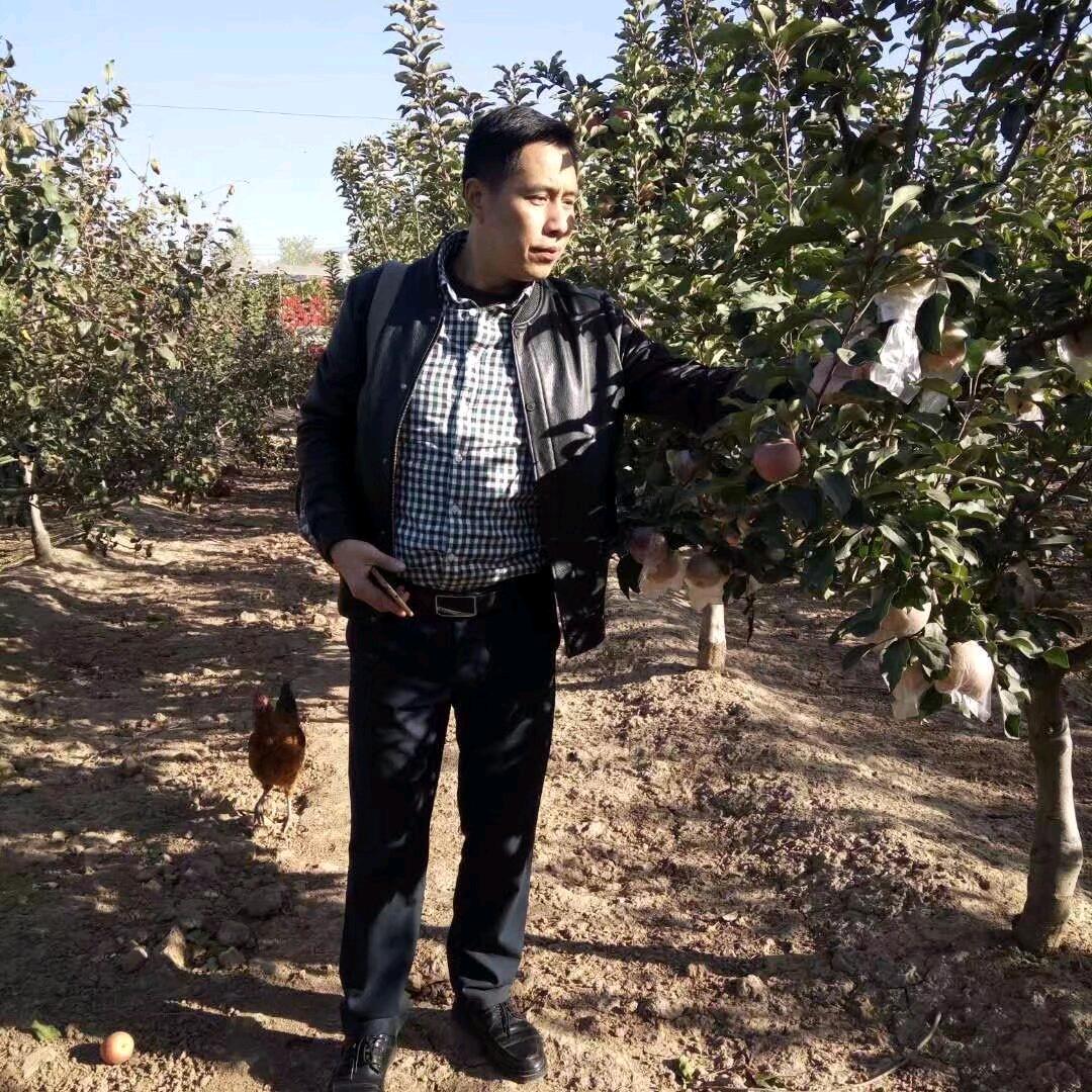 🍎渴望🍏