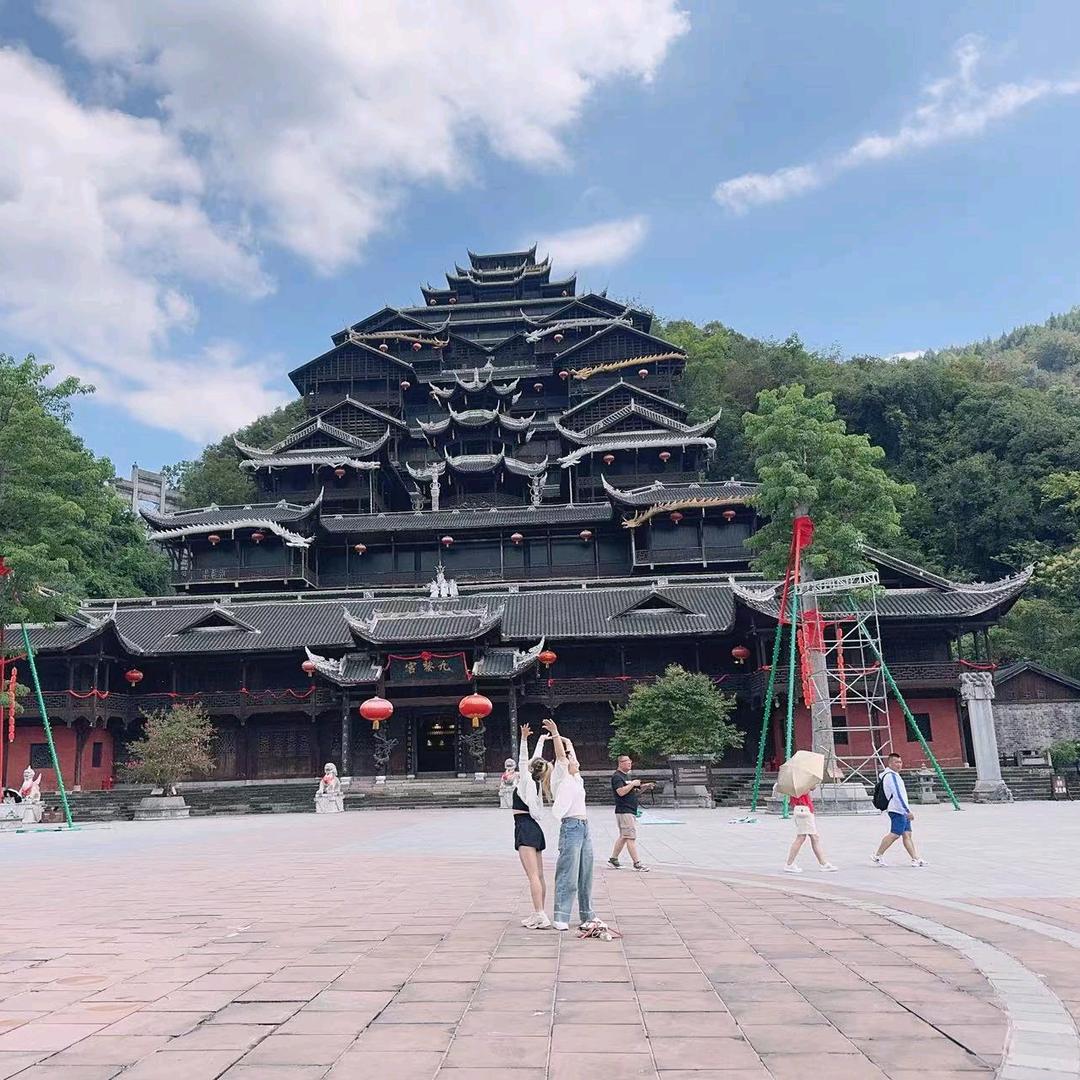 老虎🐯🐯老虎🐯🐯