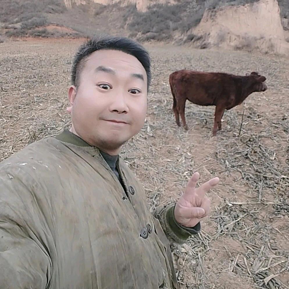 延安小土豆
