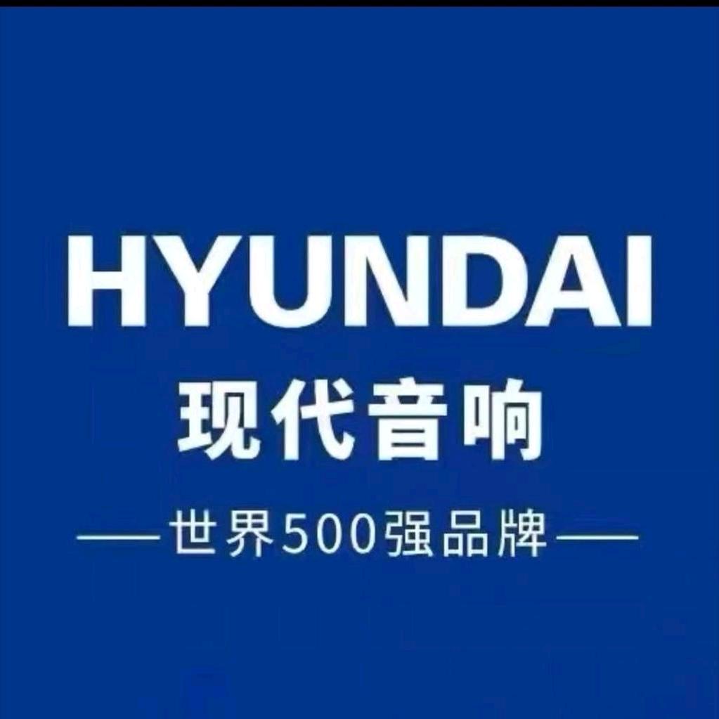 现代户外K歌音响