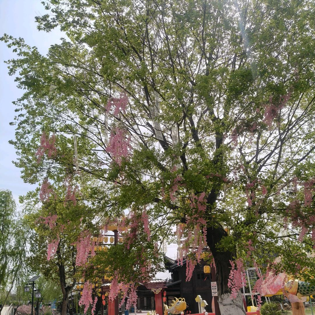 ✨💕ꦿ᭄陈✨༉ᩚ᭄