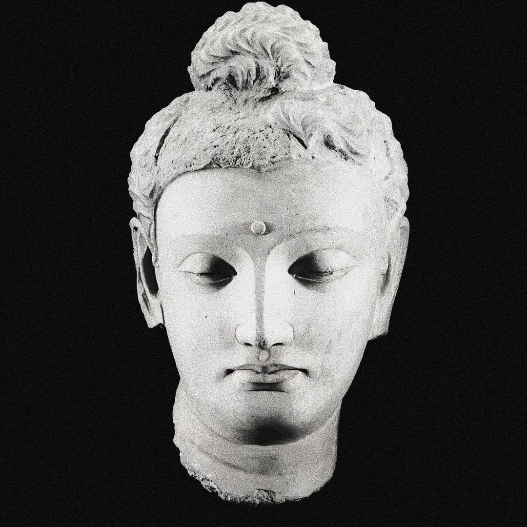 成都老杨资格酱肉包