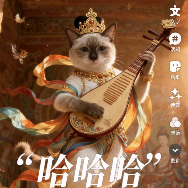 可欣家庭小猫舍
