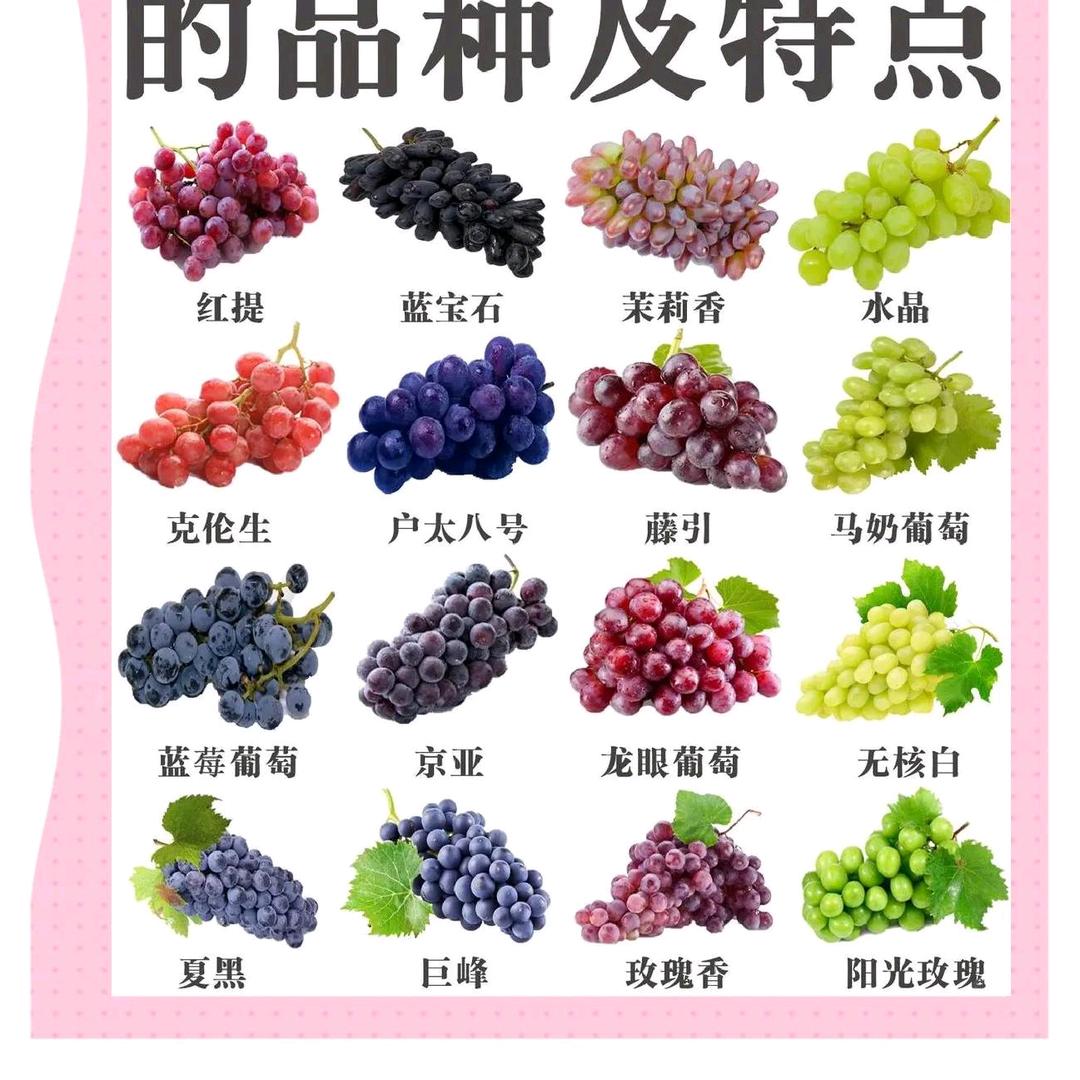 大财小财都来财