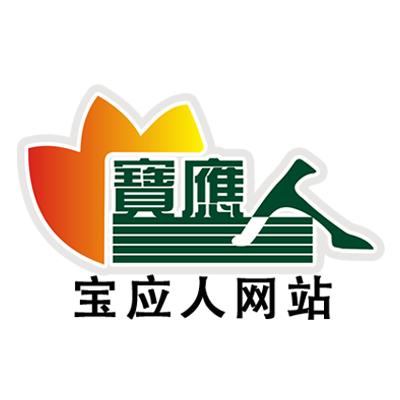宝应人-网站
