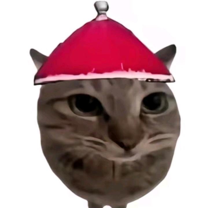 『Fayrl🍥桉研🌷💭』