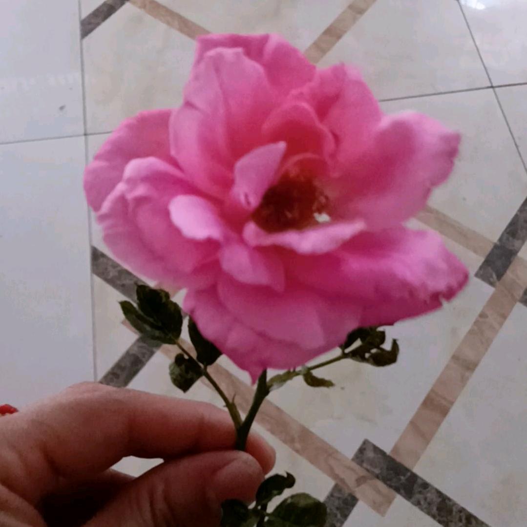 快乐不止今天。