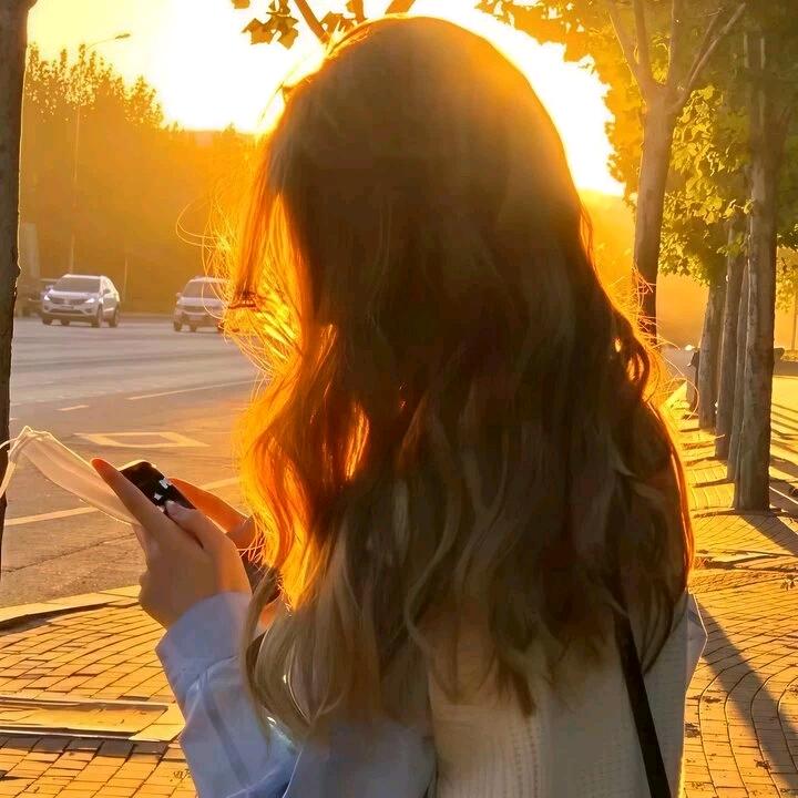 聆蝉入夏