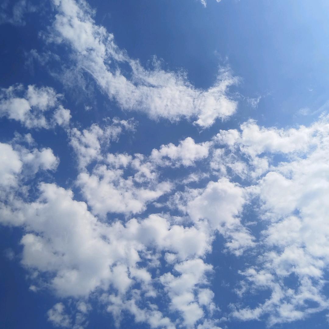㞮孞？㣻罖