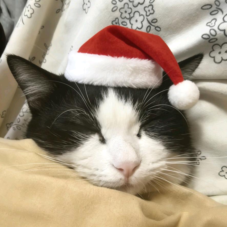 瑞雪bb ＆踏雪bb