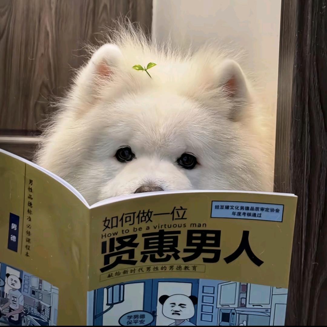 尘墨青玄