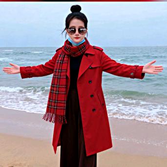 单身周姐，在努力，