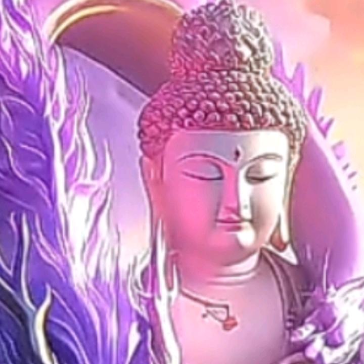 (*^金蟾招财手ω^*)即溟一📿