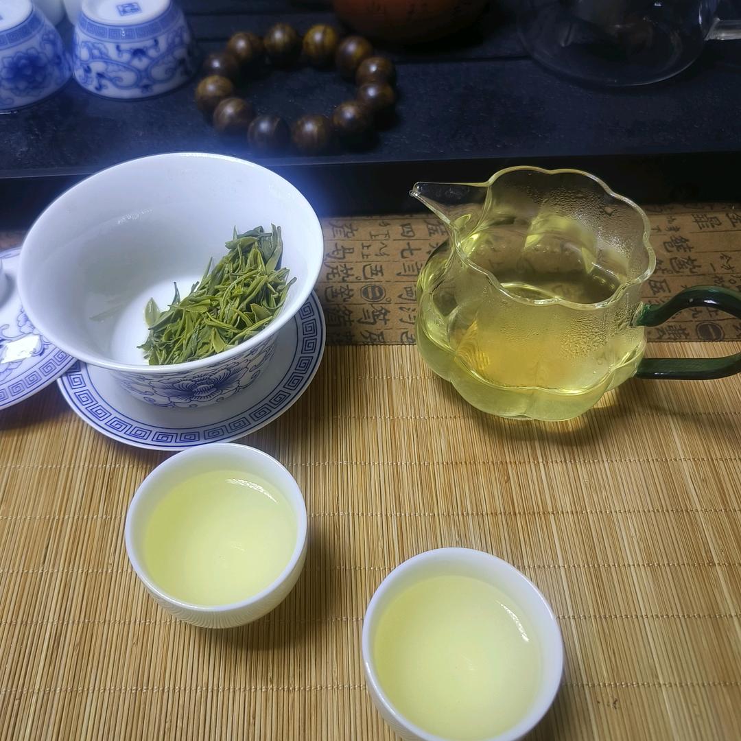 静 🌱