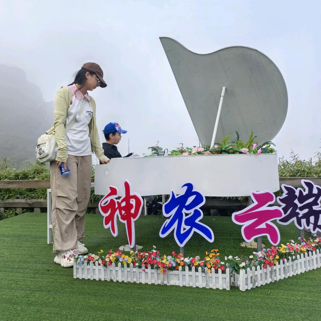梅紫