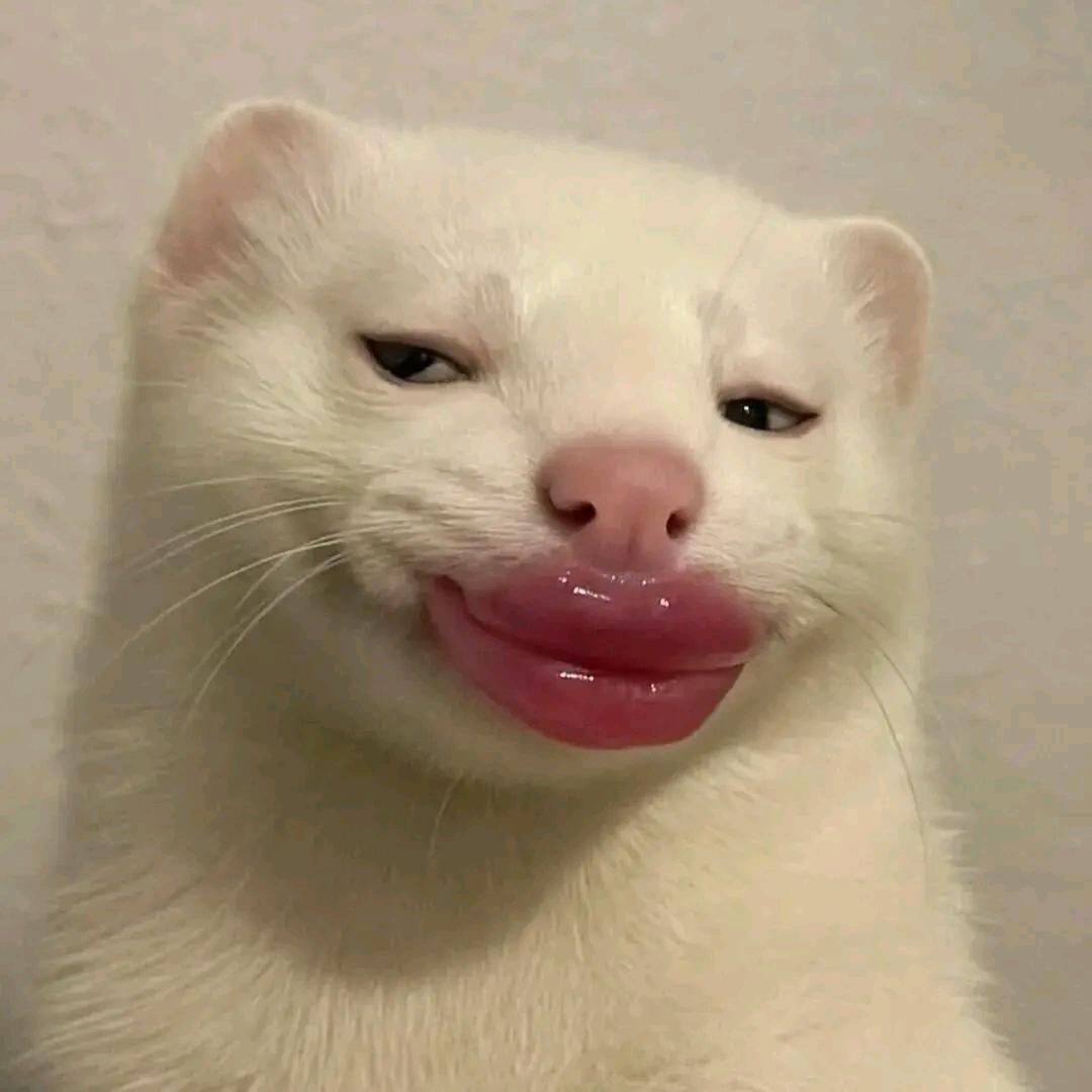 ¹