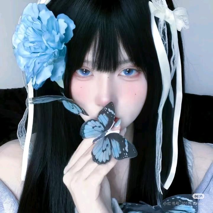 猫猫殿下