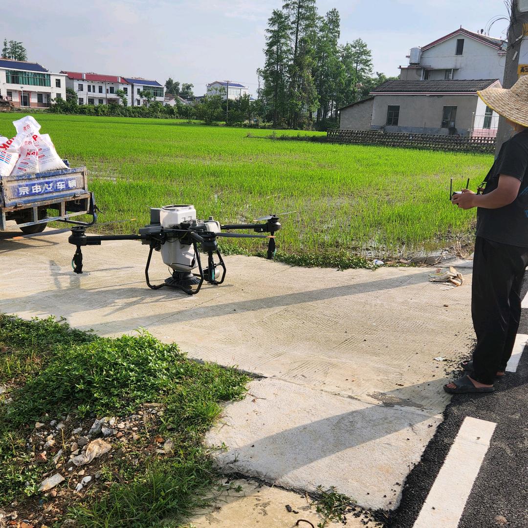 养点鸡鸭种点田