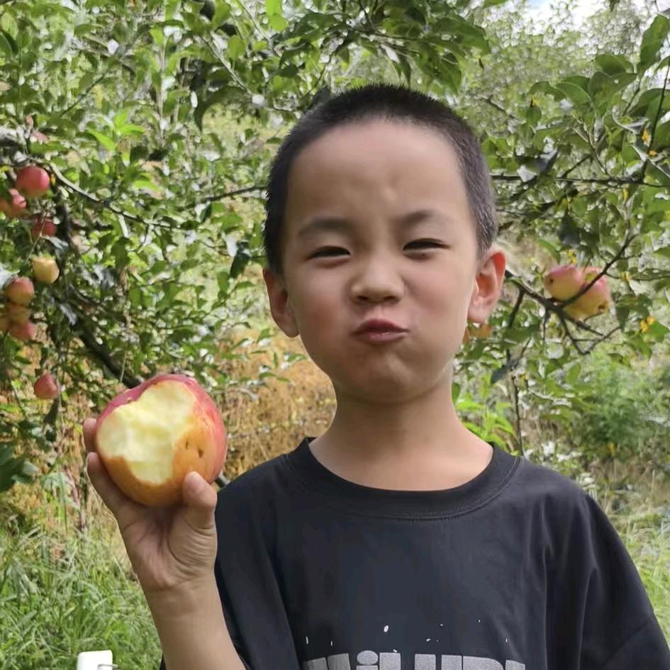 云南昭通丑苹果（甜甜）