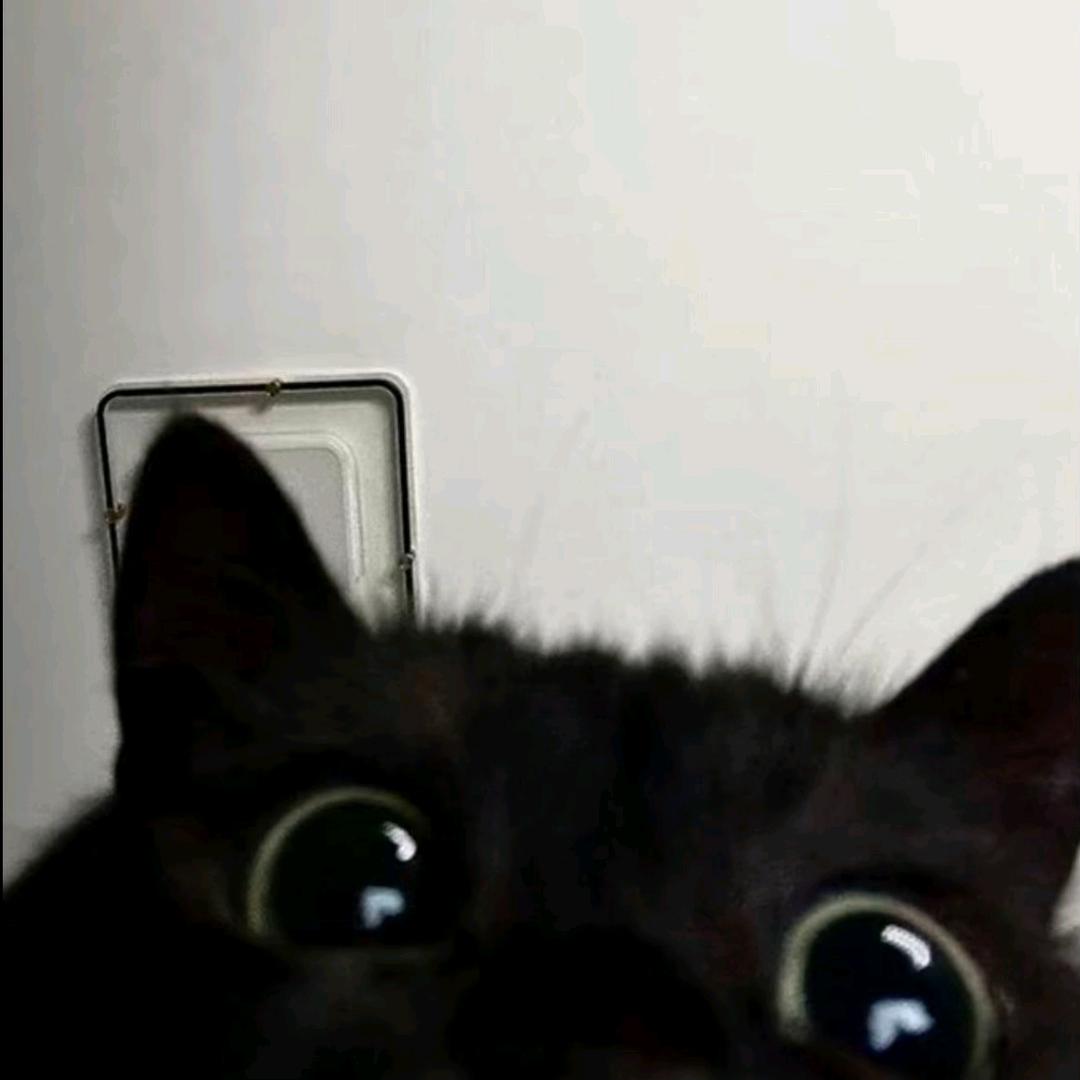 💋          冷暖i