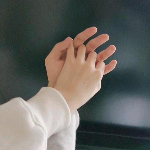 蝶梦