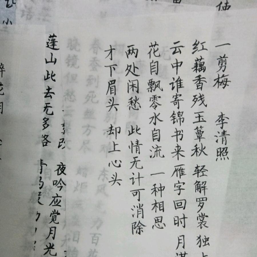 练字的小张呀