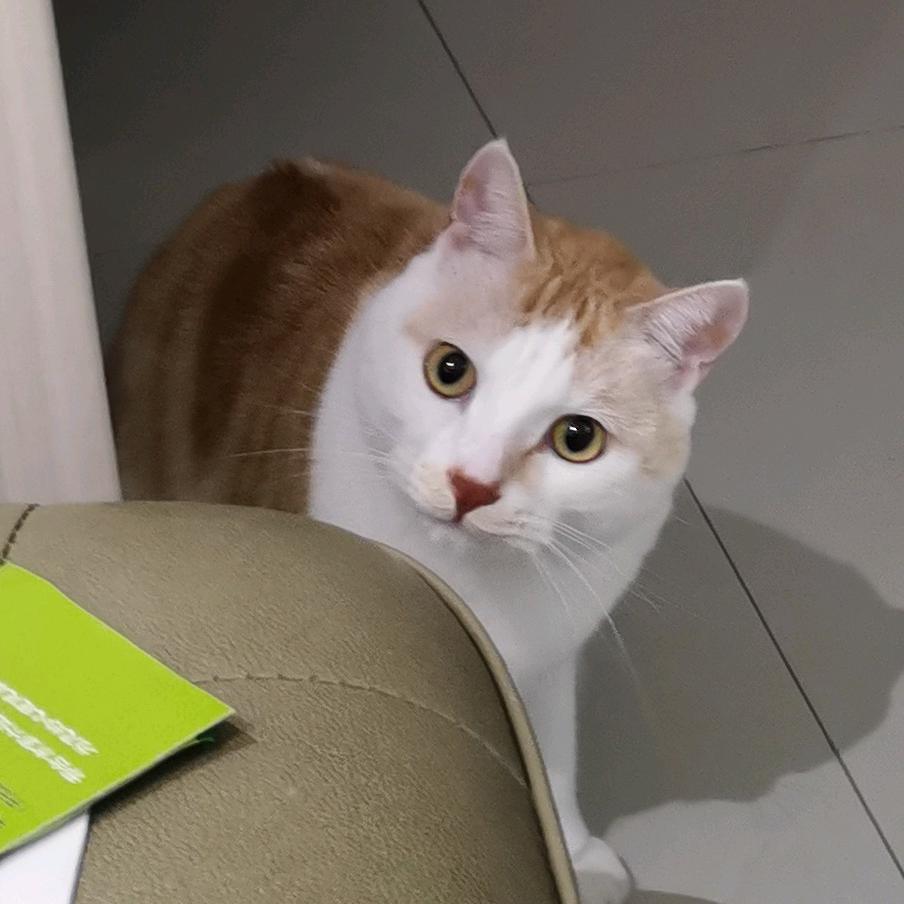 煤气罐子一点就炸