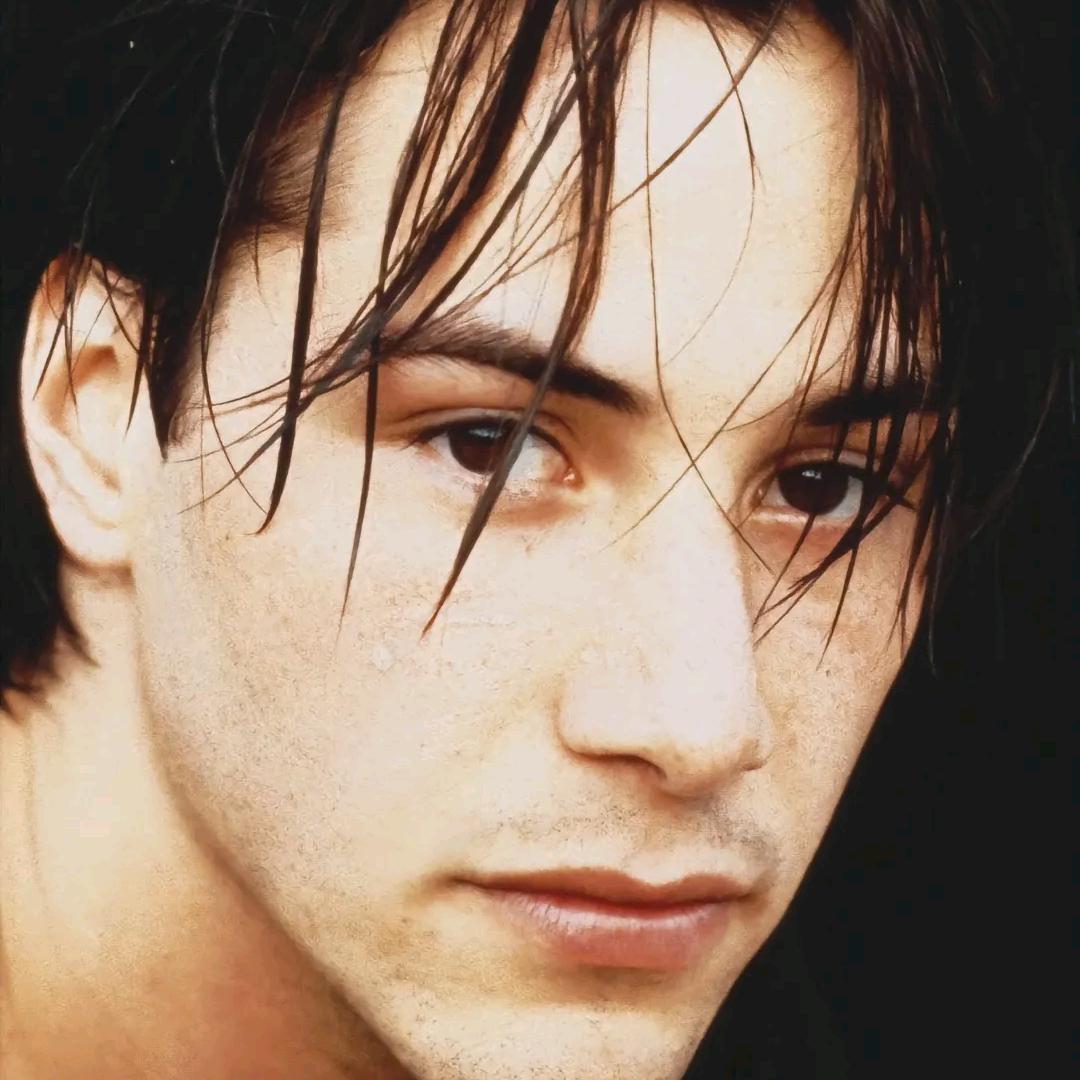 …………………………