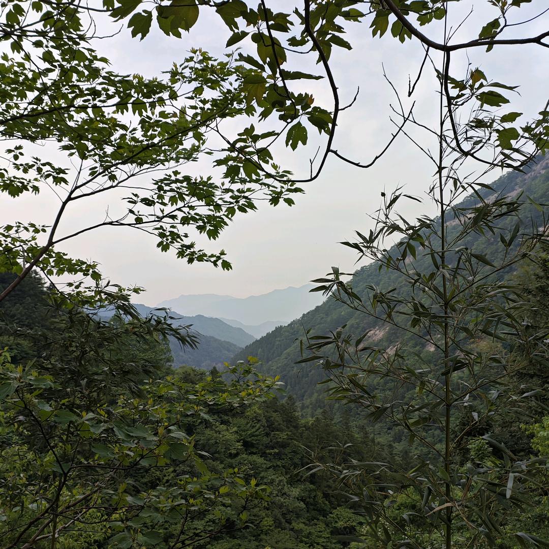 些许风霜