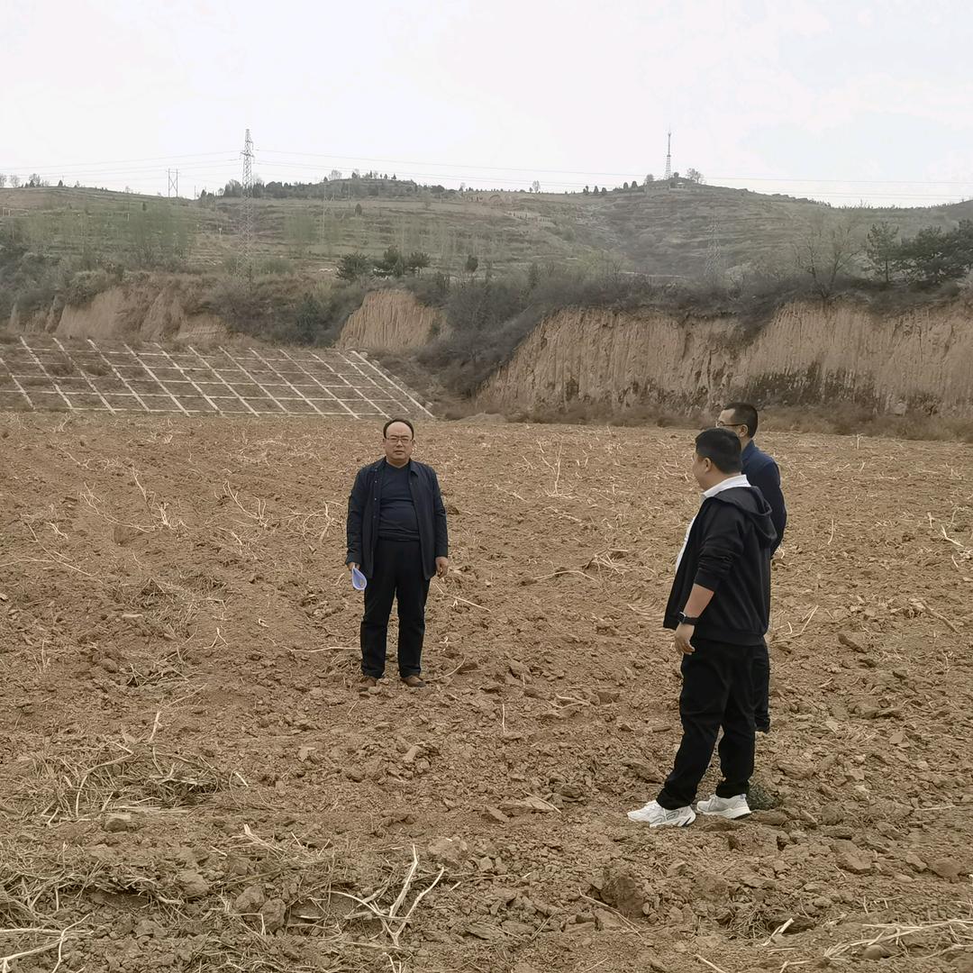 幸运儿