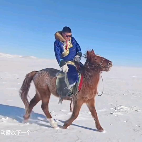 新巴雅尔🔥🔥🔥
