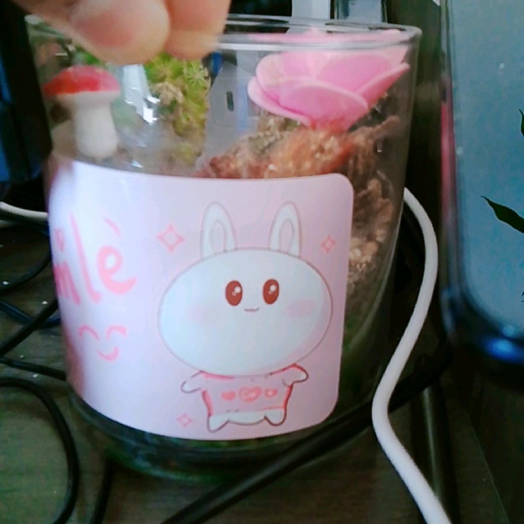 卢淞的楠楠女装