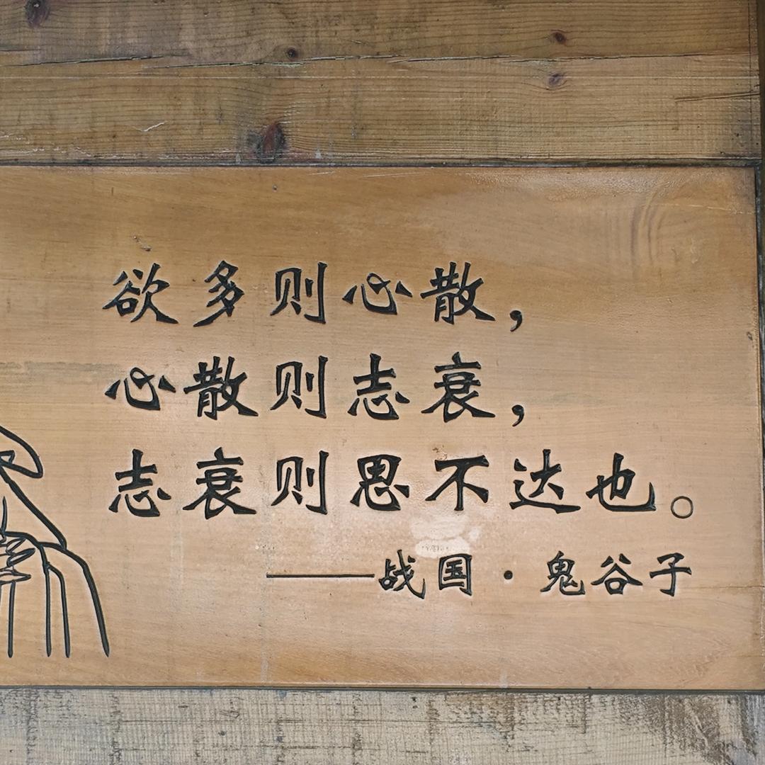@飞飞鱼随便拍