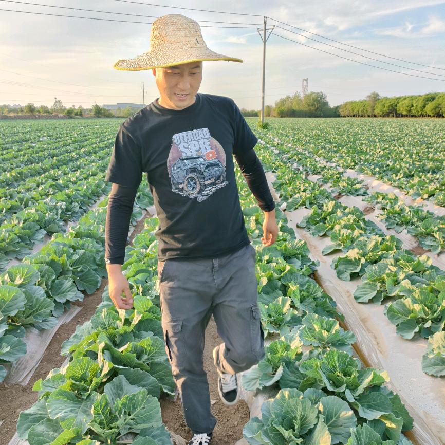 西安德瑞尔苹果全程植保专业服务商