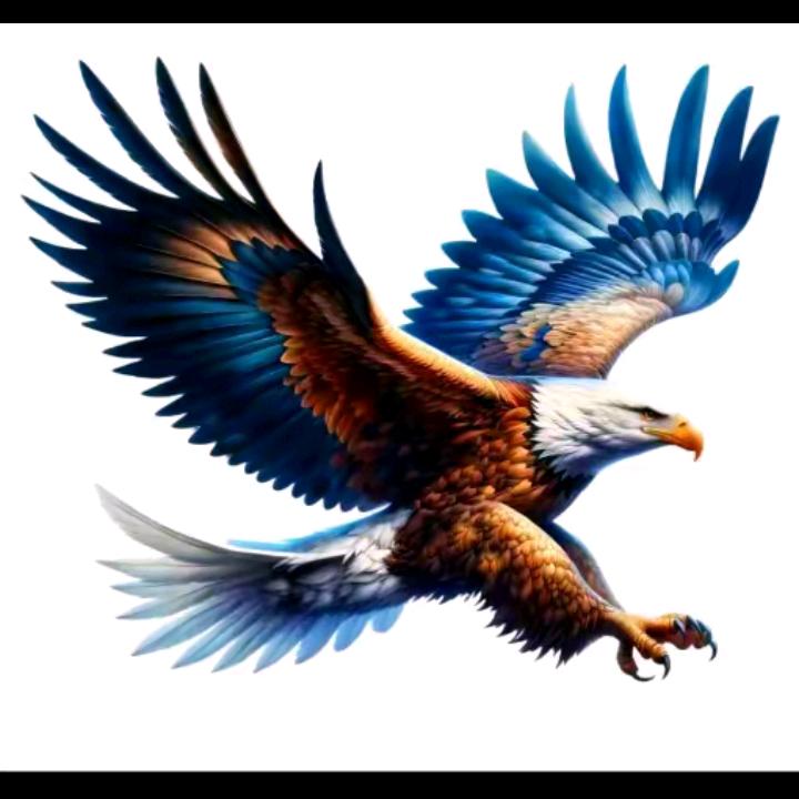 ﻬ🌈²¹¹³怡宝姐🦅🐲
