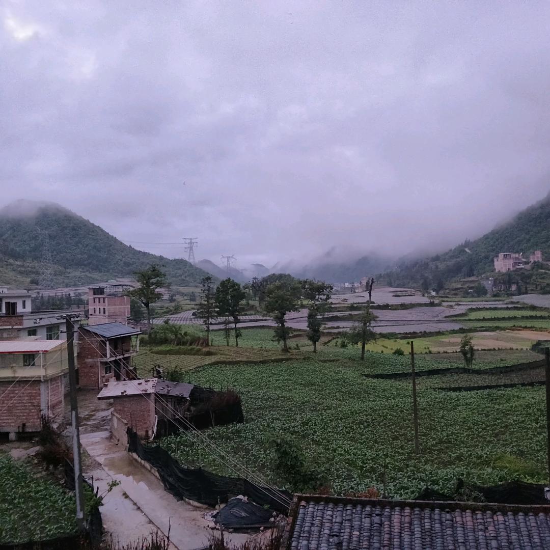 明月孤灯梦难圆