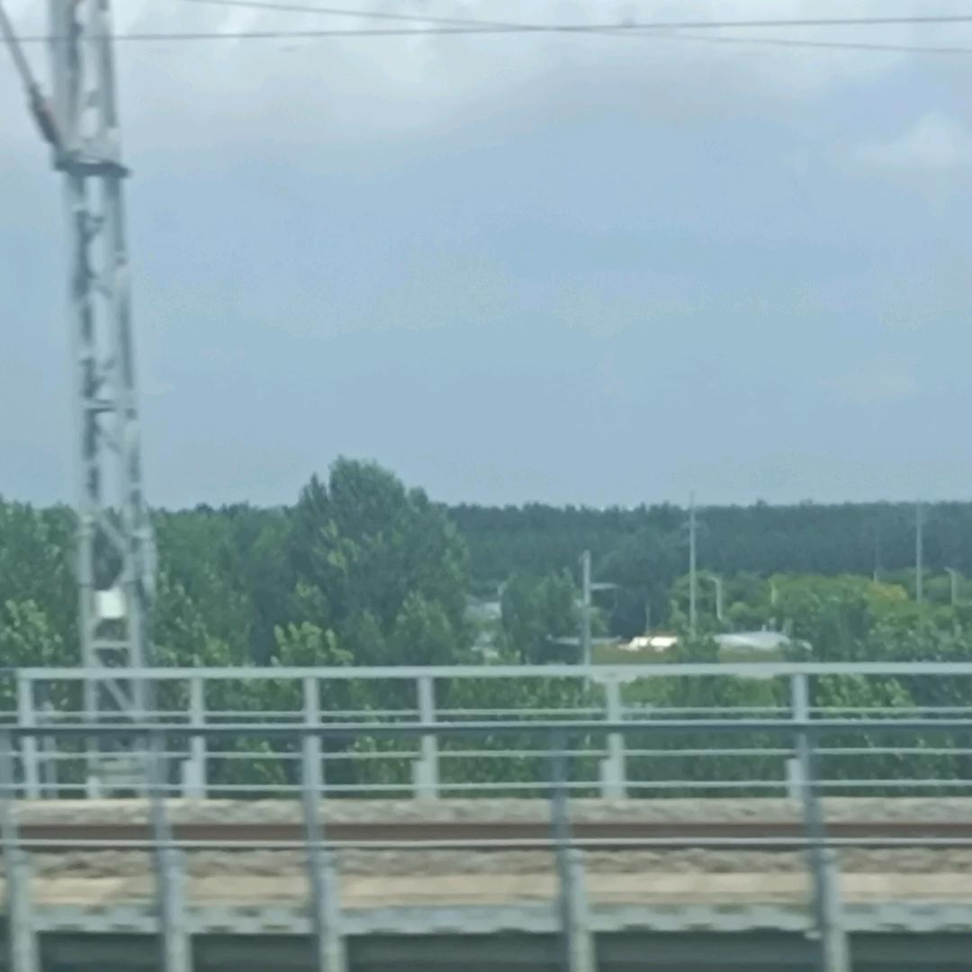羲之朝阳糁馆护台店