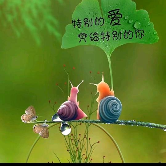 心无所以