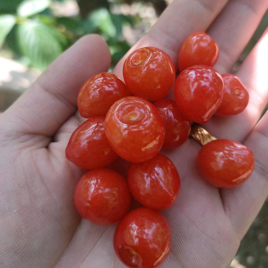 走好自己
