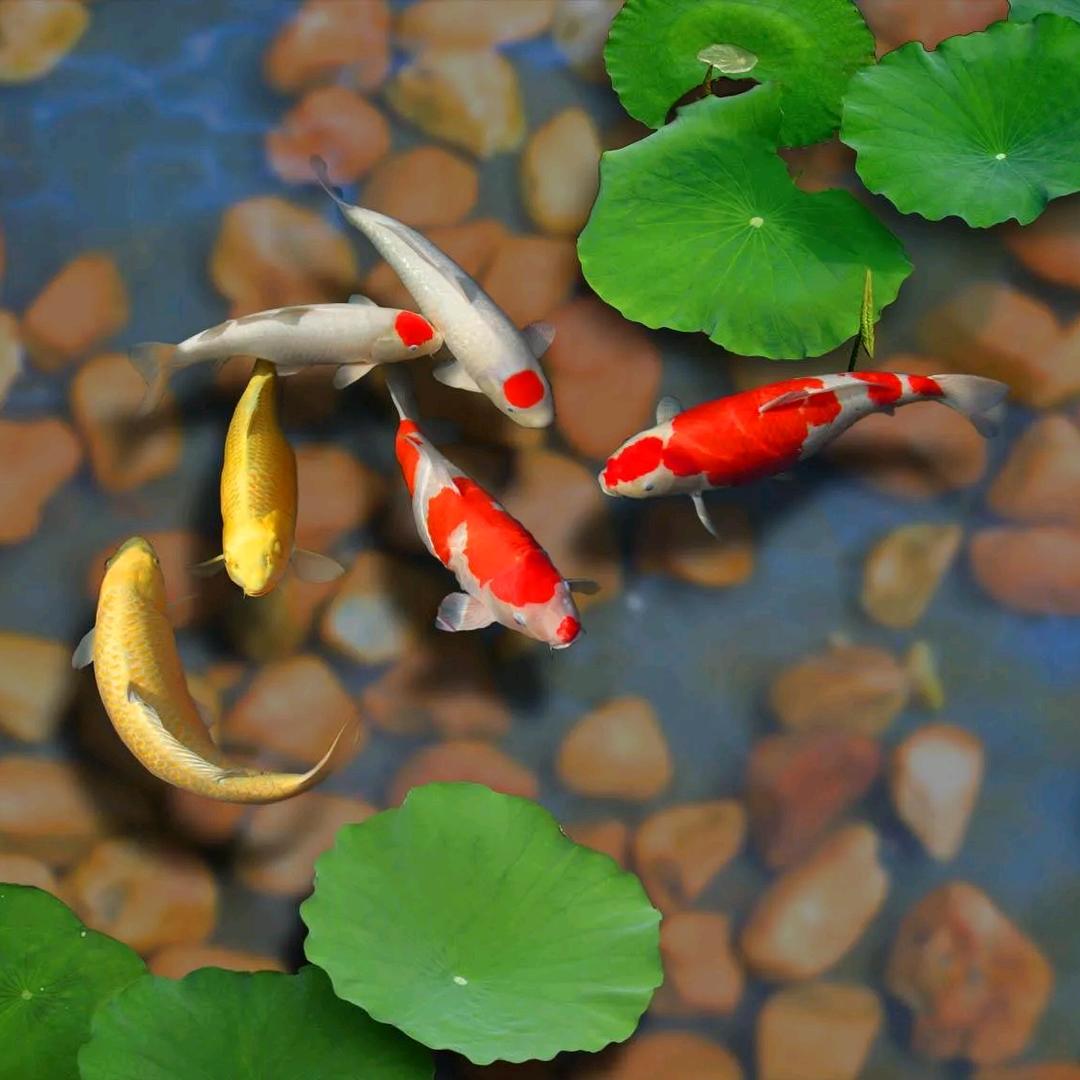 有河不渴