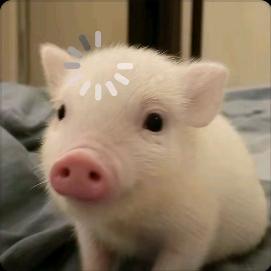 小星