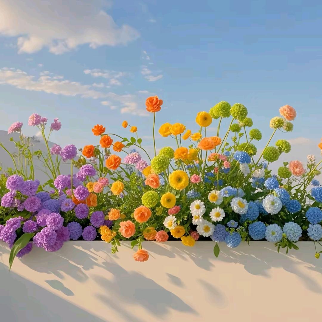 娜时花开