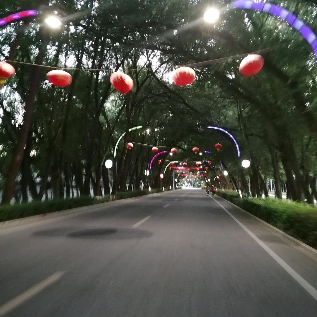 平安快乐财来到