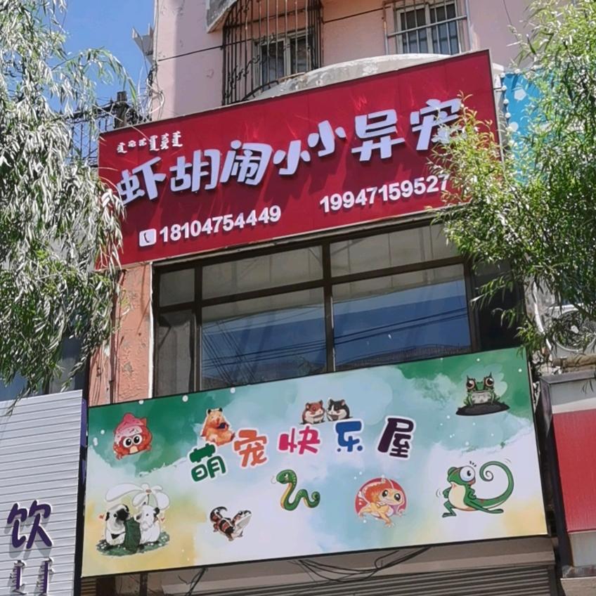 虾胡闹小小异宠