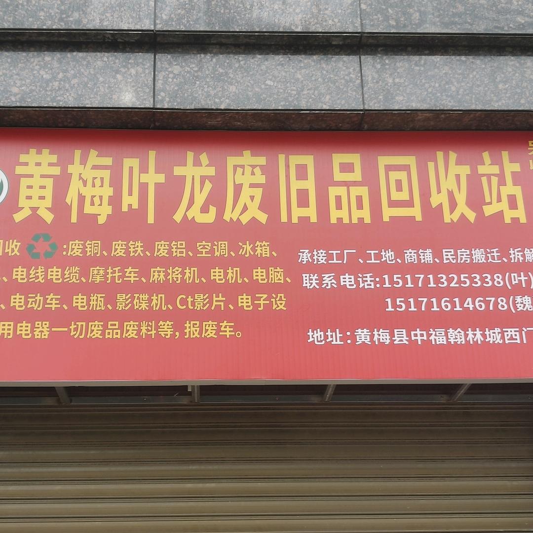 🐉黄梅叶龙🐉